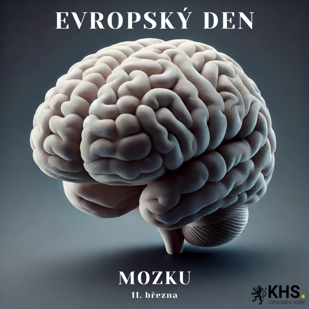Evropský den mozku - 11. března 1 obrazky web 29