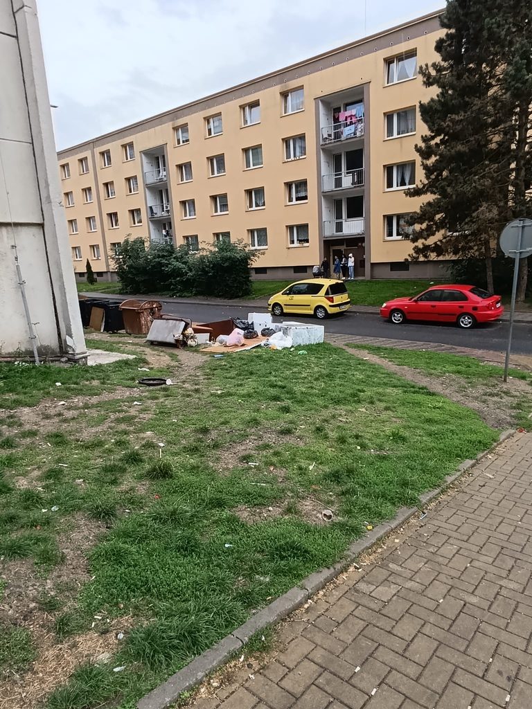 Místní šetření na sídlišti Mojžíř 5 0cca73e5 dc01 4c2b 80f4 cc88359235f2 768x1024 1